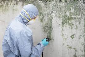 Biohazard Mold Removal in Woodbury, NY